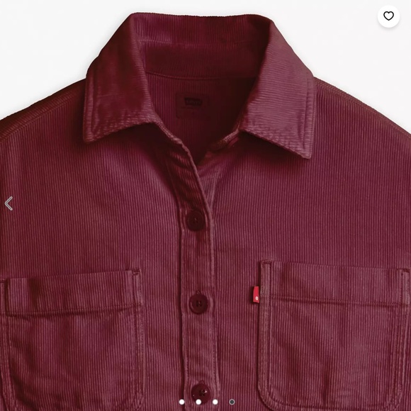 Corduroy Overshirt - Picture 4 of 7